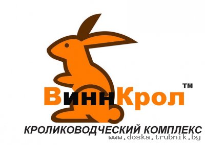 Кролиководство. Кролики. Разведение кроликов.